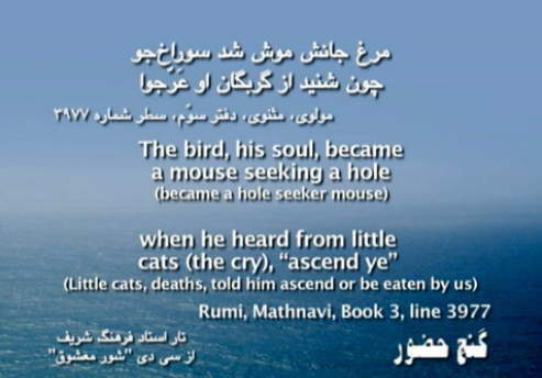 His soul bird became a mouse seeking a hole مرغ جانش موش شد سوراخ‌جو